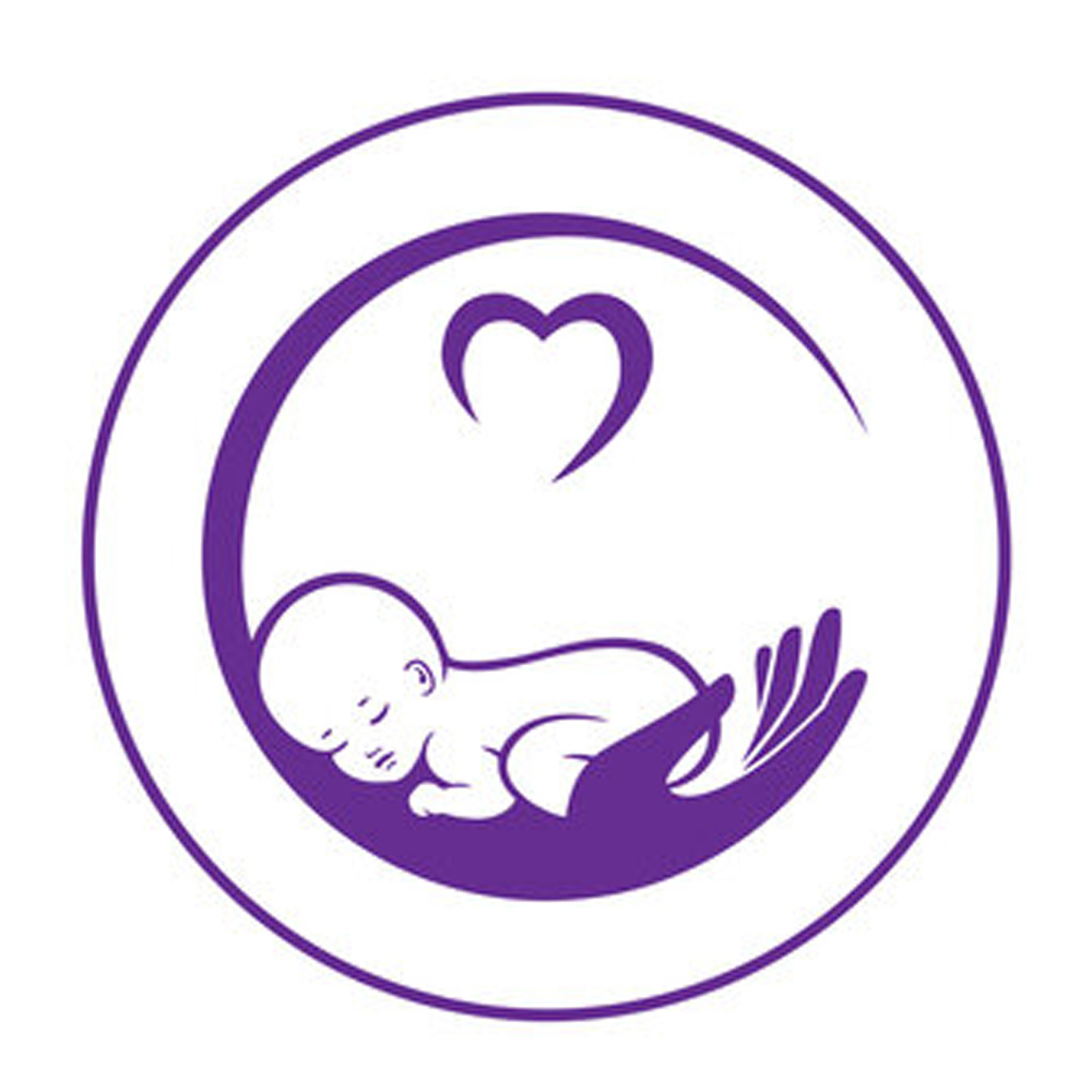 IVF & Fertility, Hansraj Memorial Hospital, Gwalior